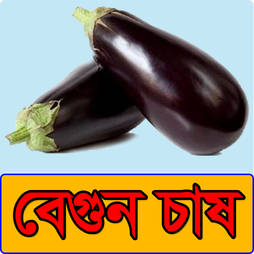 বেগুন চাষের পদ্ধতি - Brinjal Vegetable Cultivation icon