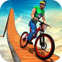 Impossible BMX Bicycle Stunts
