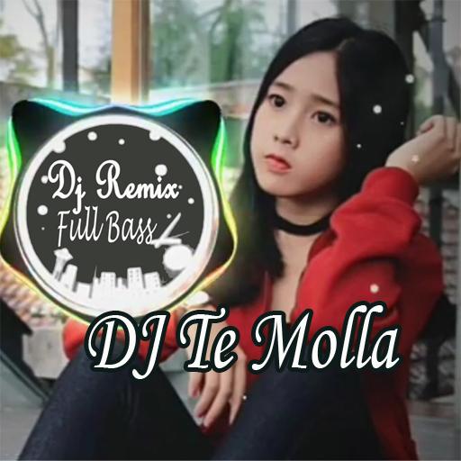 Dj Te Molla Remix Full Bass Offline icon