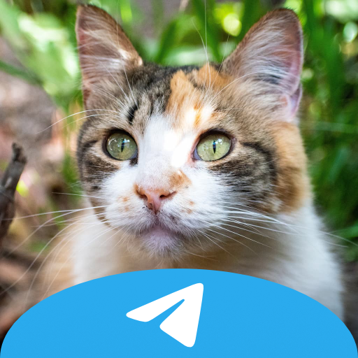 I'm on Telegram FYI icon