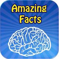 Amazing Facts     on 9Apps