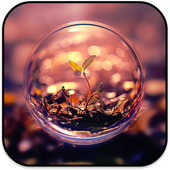 Nature Wallpapers icon