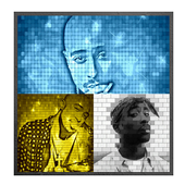 Tupac Shakur Wallpapers أيقونة