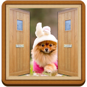 Door Lock Screen icon