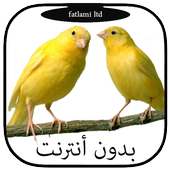 أجمل أصوات طائر الكناري ولحسون on 9Apps