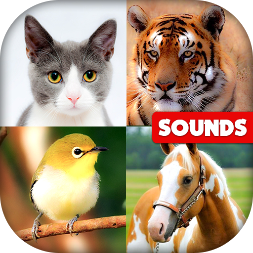 Animal Sounds: Sounds with Images icon