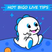 Hot Bgo Live guide