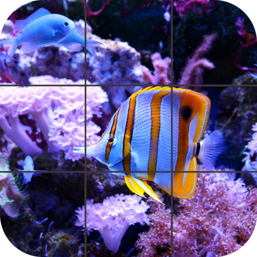 Fish Jigsaw Puzzle icon