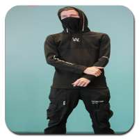 Song Alan Walker Offline