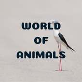 World of Animals on 9Apps