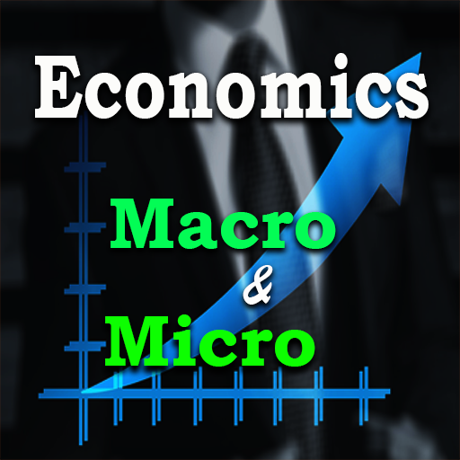 Economics Macro and Micro icon