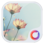 Morning Twilight Wallpaper أيقونة