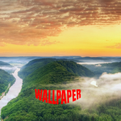 Amazon Forest Wallpapers icon