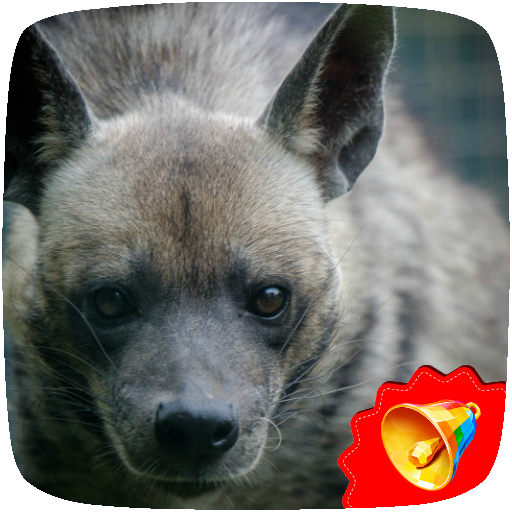 Hyena Sounds icon