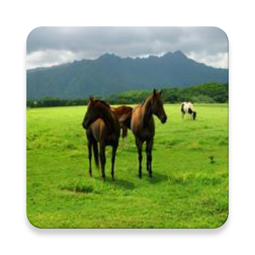 HOW TO TRAIN A HORSE EASILY FOR 2020 icon