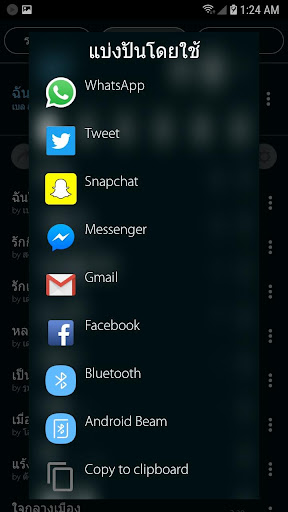 Mp3 Player screenshot 17