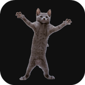 Dancing Cat icon