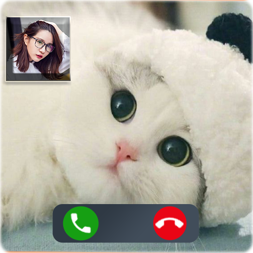 Cat Video Call : call fake, prank tom call icon