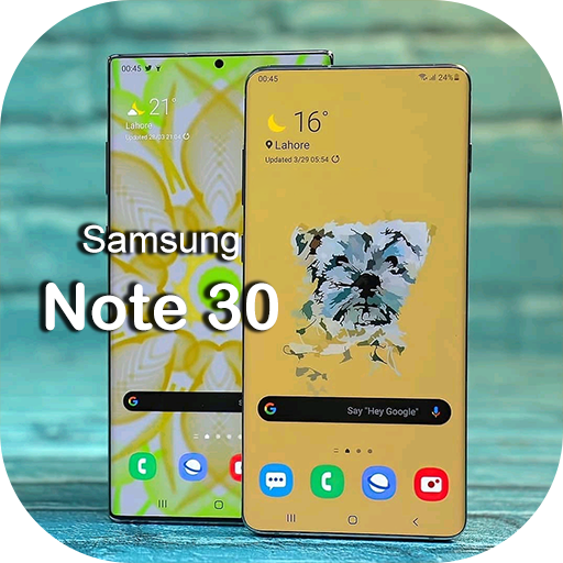 Galaxy Note 30 Theme Wallpaper icon