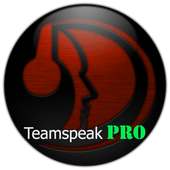 TS3 TeamSpeak PRO on 9Apps