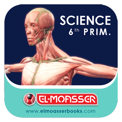 El-Moasser The locomotory System 6-Prim icon