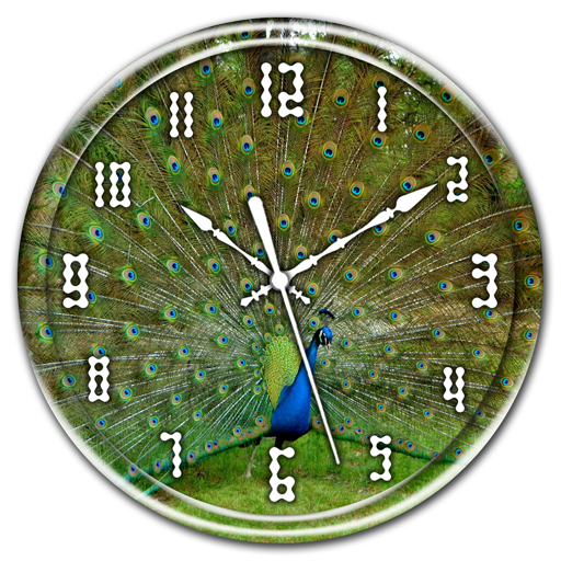 Peacock Clock Live Wallpaper icon