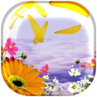 Flower Feather Live Wallapper on 9Apps