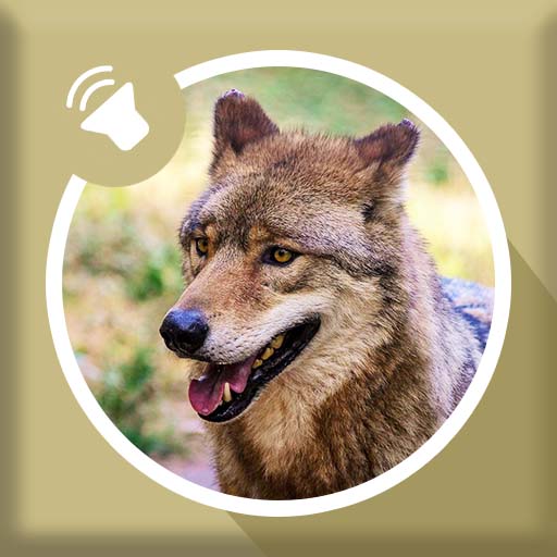 Wolf Sounds - Wolves Howling Ringtone icon