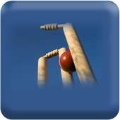 Live Cricket Stream