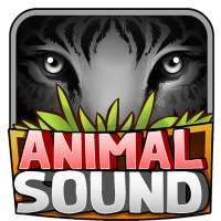 Animal Sounds