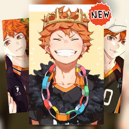 Haikyu Volleyball Anime Wallpapers icon