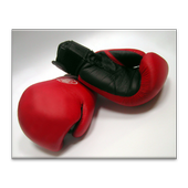 Boxing Challenge Workout icon