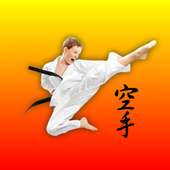 Karate Fight Champ 2018 Pro on 9Apps