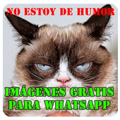 imágenes frases para whatsapp icon