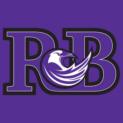 RBSS Ravens आइकन