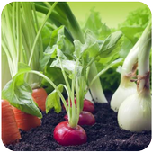 أساليب الزراعة  الحديثة - بدون انترنت icon