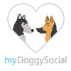 myDoggySocial - Connecting Dog Lovers icon