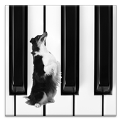 Dog Piano icon