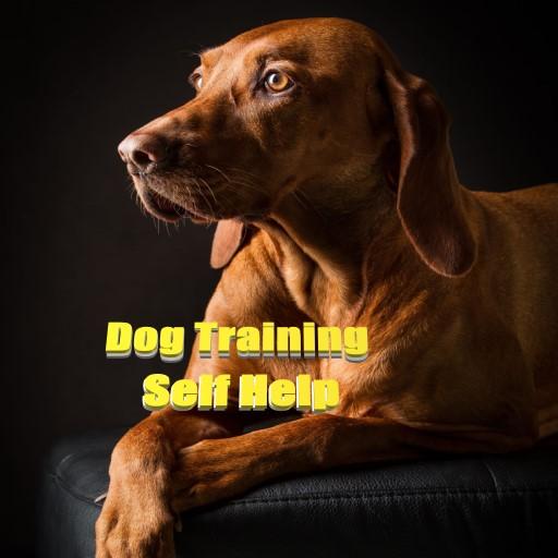 Dog Training Self Help icon