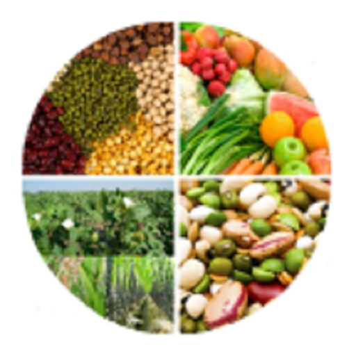 Sugarcane,Mustard &amp; Wheat-IFCs иконка