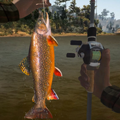 Bass Fishing Hunt 3D - catching fish game icon