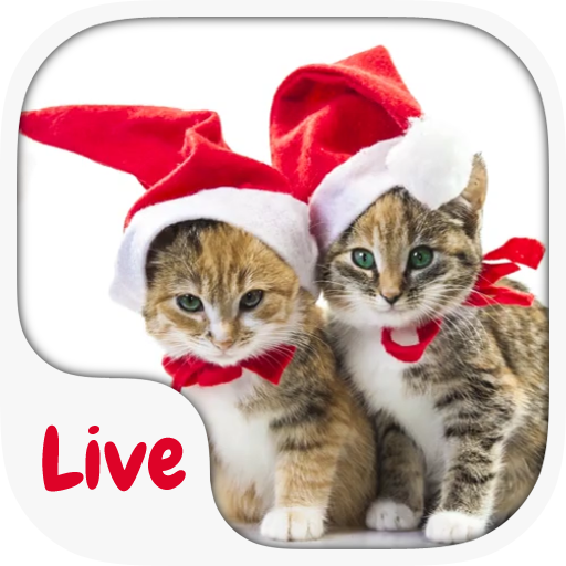 Kitten  Live KeyboardTheme icon