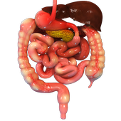 VR Human Digestive System icon