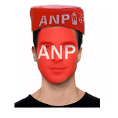 ANP Flag On Face icon