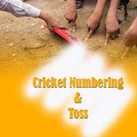 Cricket Numbering and Toss