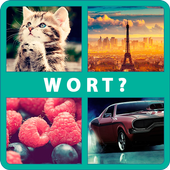 4 Bilder 1 Wort icon