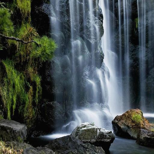 BF Nature Sceneries icon