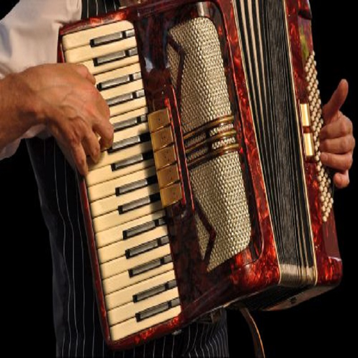 Aprender tocar acordeón con tutoriales screenshot 2