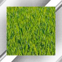 Grass Photo Frames