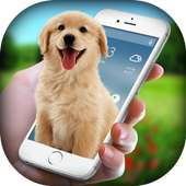 Dog in Phone - Dog On Screen Funny Joke